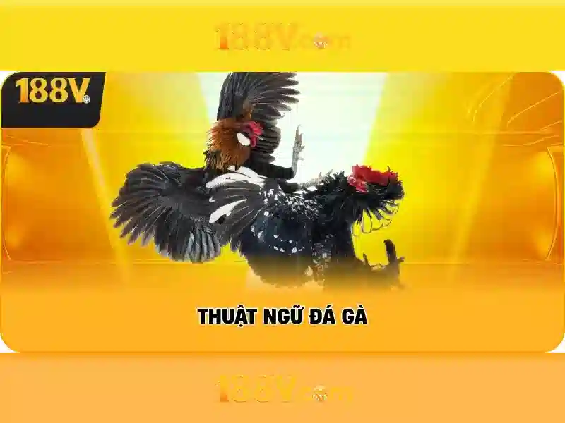 Hỗ trợ 188v