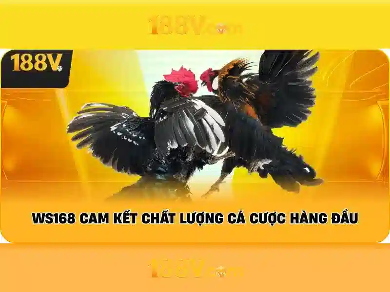 Hướng Dẫn Đăng Nhập 188V Đơn Giản