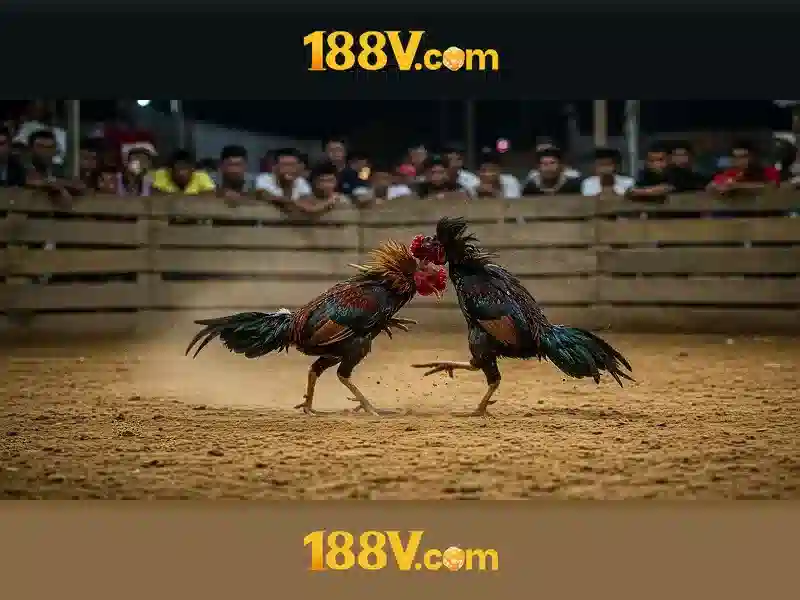 Ưu Đãi 188v VIP