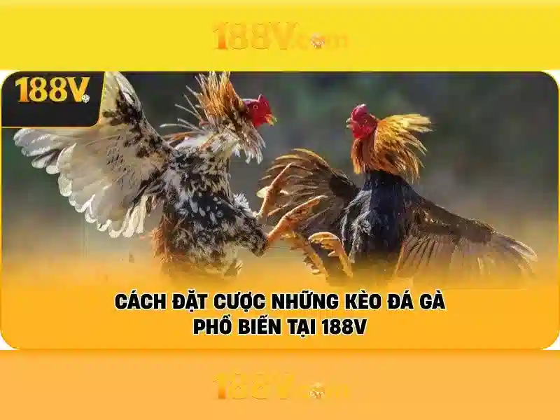 Khuyến Mãi 188V