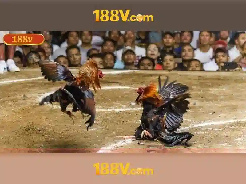 Ưu Đãi Slot