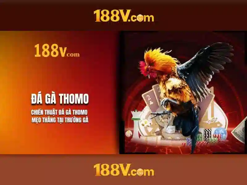 Quản Lý Tài Khoản Slot