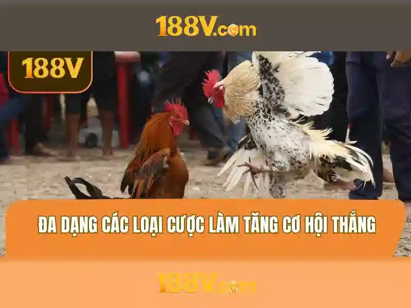 Khuyến Mãi Slot 188V – Ưu Đãi Độc Quyền Cho Thành Viên