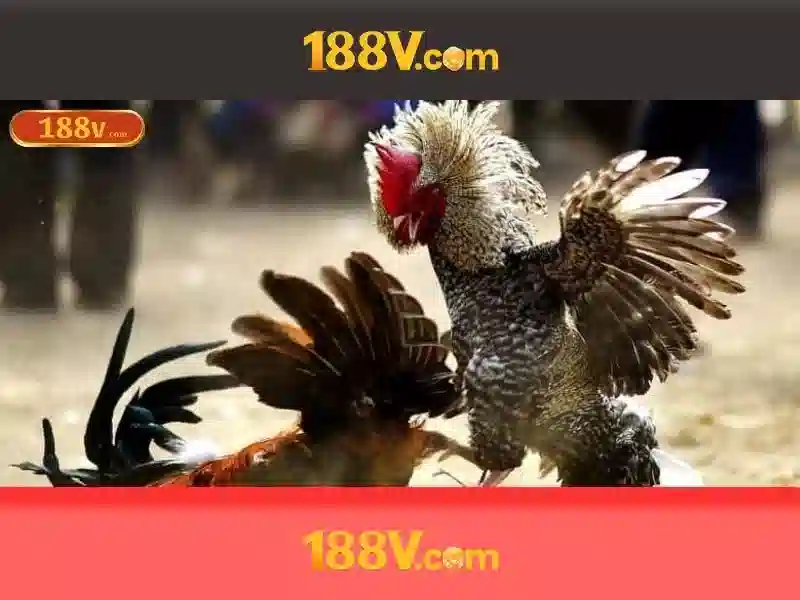 Ưu Điểm Khi Chơi Slot Có Trách Nhiệm 188V