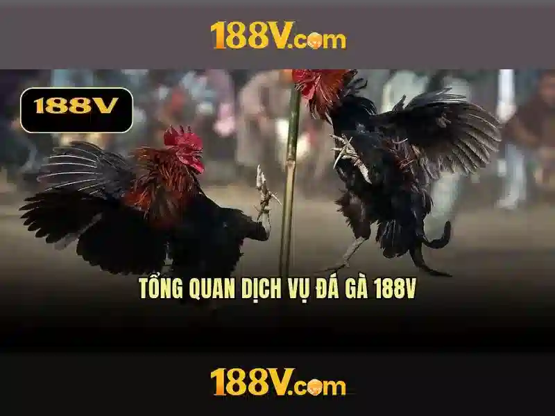 Hướng Dẫn Nạp Tiền 188V