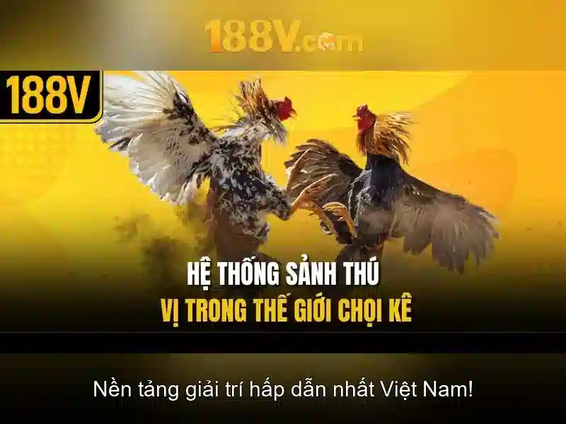 Trải Nghiệm Đá Gà 188V