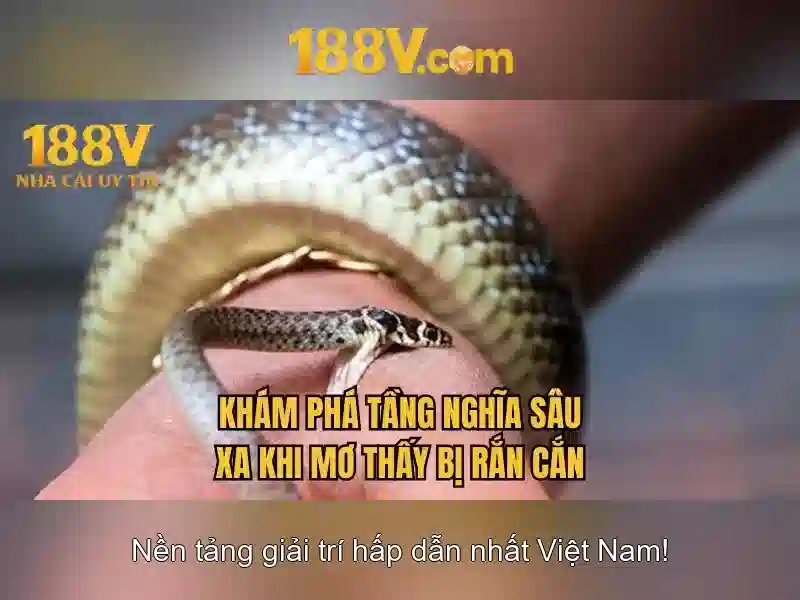 Nhà Cái 188V