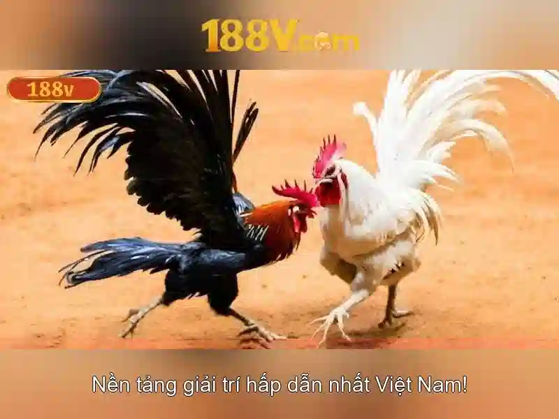 Trải nghiệm Slot đa dạng