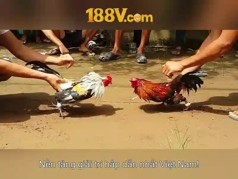 Hướng Dẫn Đăng Ký Tài Khoản Slot