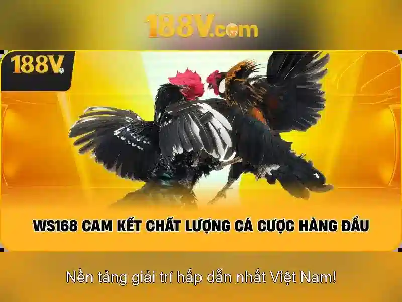 Ưu Điểm Nổi Bật