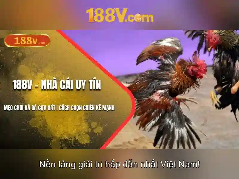 Các loại máy nổ hũ tại 188V