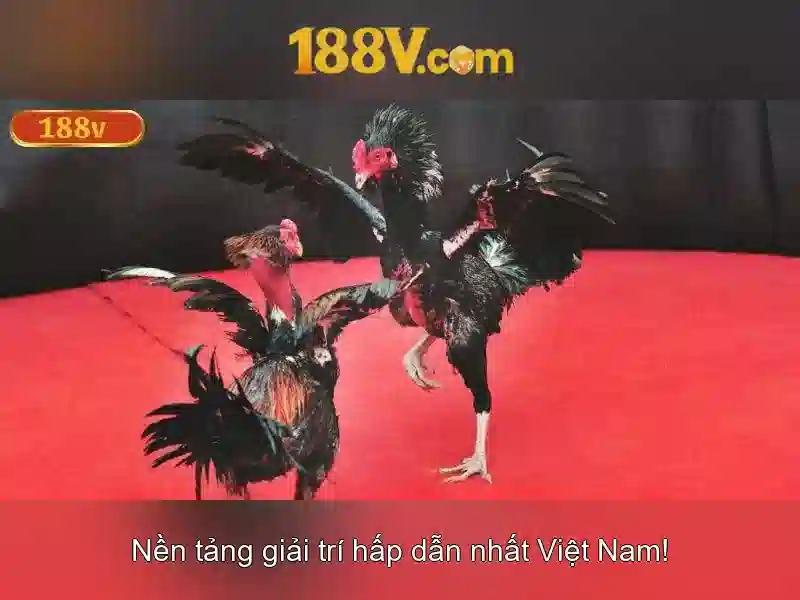 Trải Nghiệm Chơi SLOT Đỉnh Cao 188V
