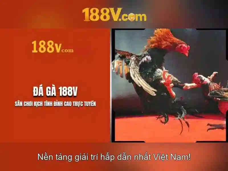 Cập nhật tag slot mới nhất