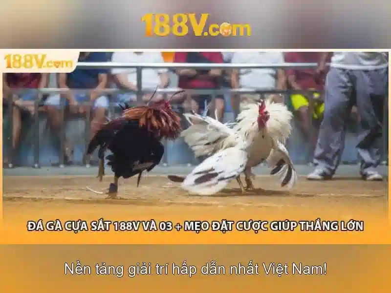 Slot Thẻ Cào 188V