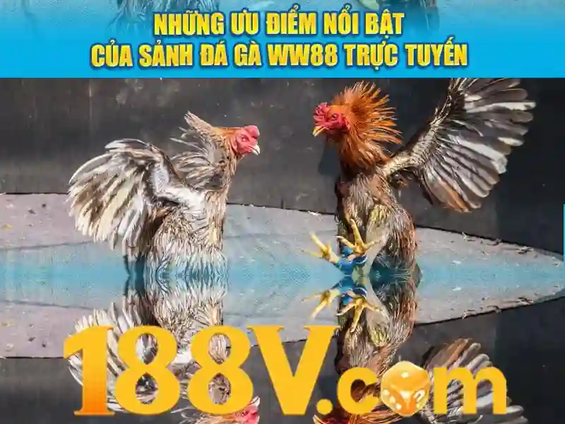 188v Free – Trải Nghiệm Slot Đa Dạng